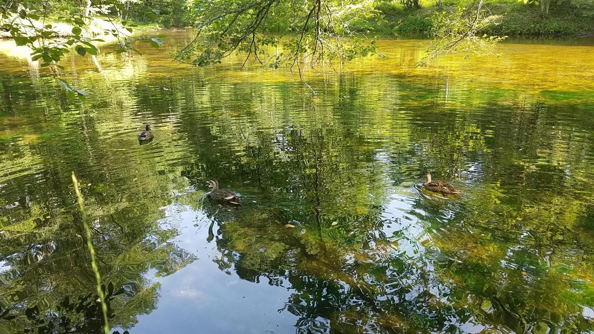 Hotel Dormy Club Karuizawa Zewnętrze zdjęcie